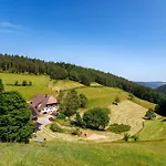 Agroturismo Hinterhauensteinhof Hornberg