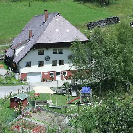 Farm stay Hinterhauensteinhof