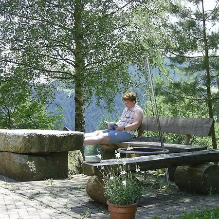 Hinterhauensteinhof Farm stay Hornberg