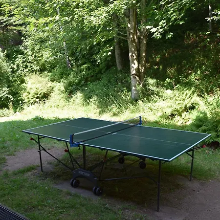 Hinterhauensteinhof Farm stay *