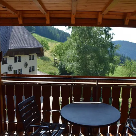 Hinterhauensteinhof Farm stay *