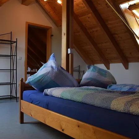 Hinterhauensteinhof Farm stay Hornberg