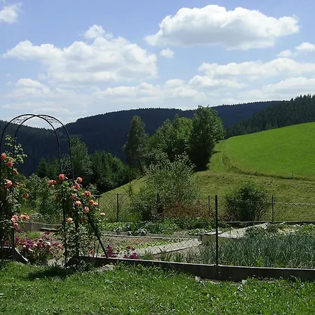 Farm stay Hinterhauensteinhof Hornberg