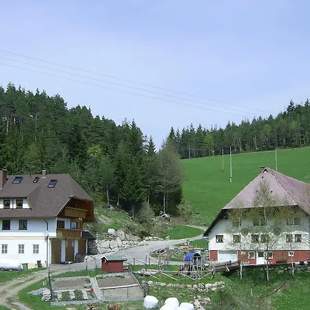 Hinterhauensteinhof Farm stay Hornberg