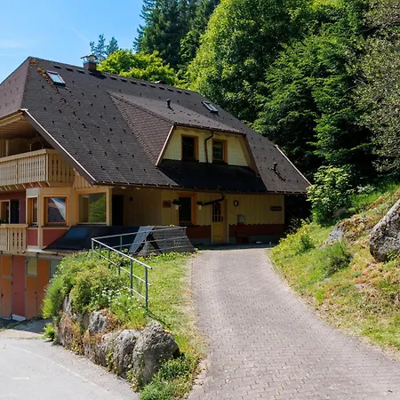 Çiftlik konaklama Hinterhauensteinhof Elzach