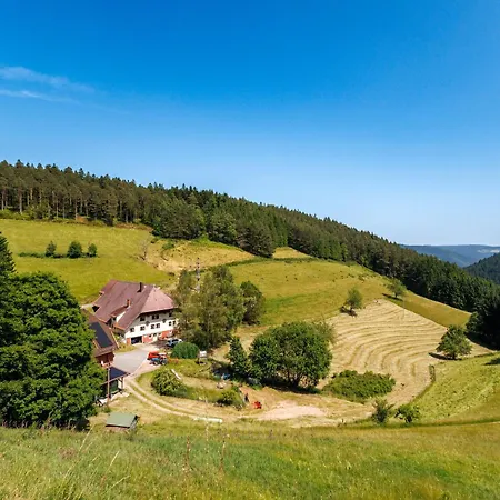 Hinterhauensteinhof *