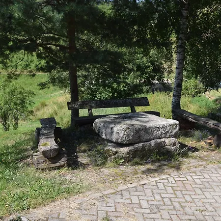 Vakantieboerderij Hinterhauensteinhof Hornberg