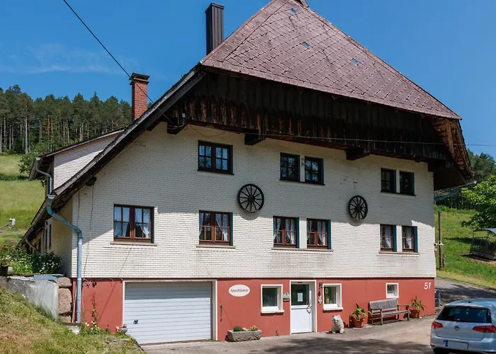 Hinterhauensteinhof Lantgård Hornberg