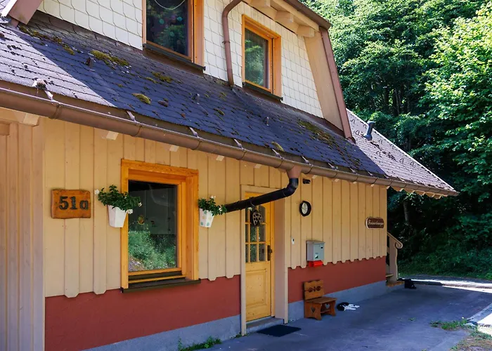 农家乐 Hinterhauensteinhof