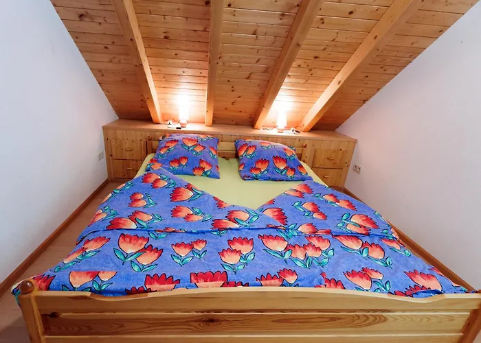 农家乐 Hinterhauensteinhof *