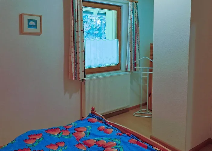 Hinterhauensteinhof 农家乐 霍恩伯格