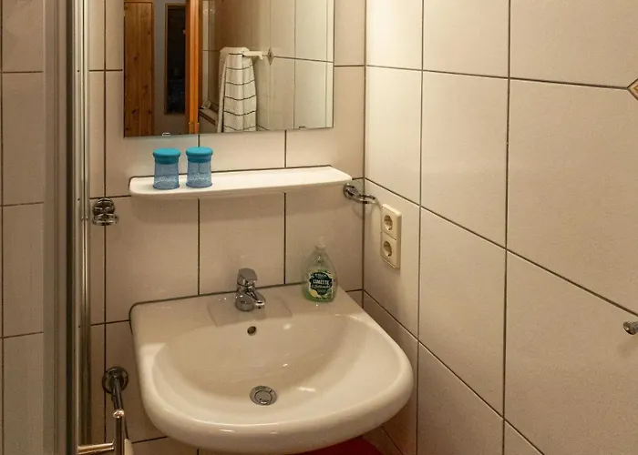 Lantgård Hinterhauensteinhof Hornberg