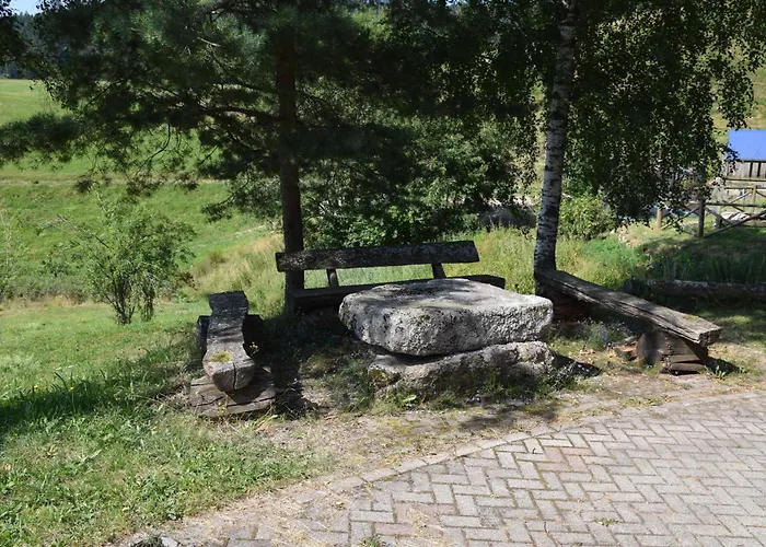 Hinterhauensteinhof 农家乐 霍恩伯格