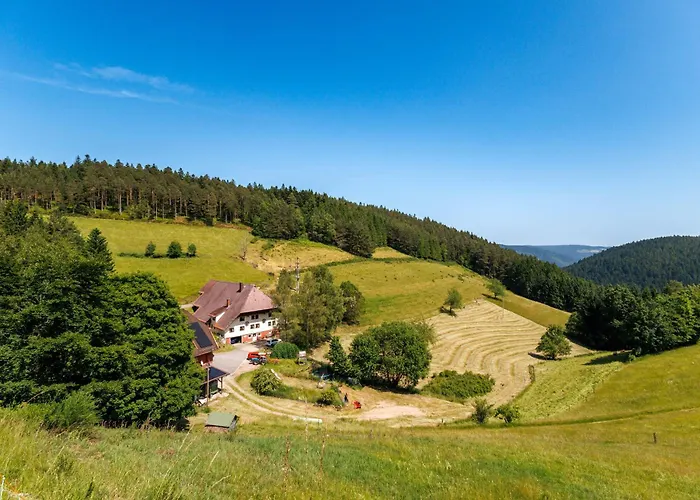 Hinterhauensteinhof *