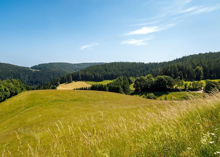 Hinterhauensteinhof * Hornberg