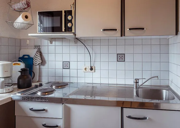 Hinterhauensteinhof 农家乐 霍恩伯格