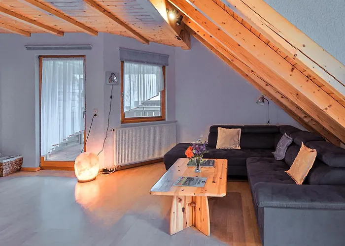 Lantgård Hinterhauensteinhof Hornberg