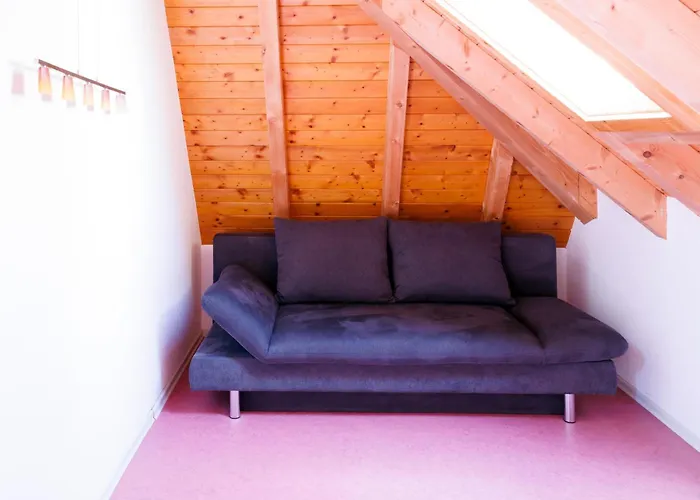 Hinterhauensteinhof 农家乐 霍恩伯格