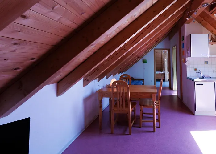 Hinterhauensteinhof 农家乐